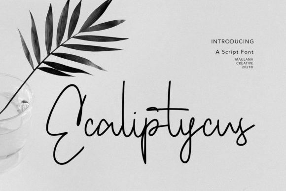 Ecaliptycus Script: A Touch of Luxury for Your Designs
