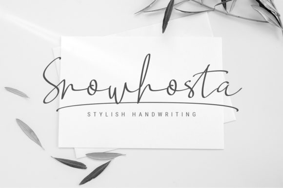 Elevate Your Projects with Snowhosta Script Font